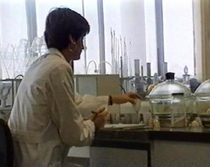 TRABAJADOR INDUSTRIA (20)